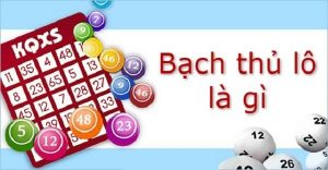 Bạch thủ lô là gì – Các phương pháp bắt bạch thủ lô chuẩn